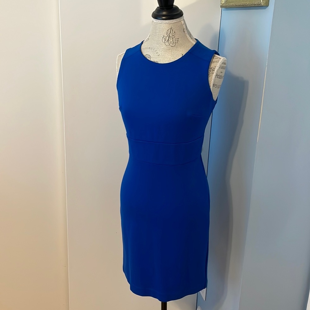 💎 Ann Taylor Royal Blue Dress